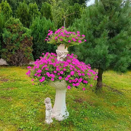 Privat bolig W Zieleni *