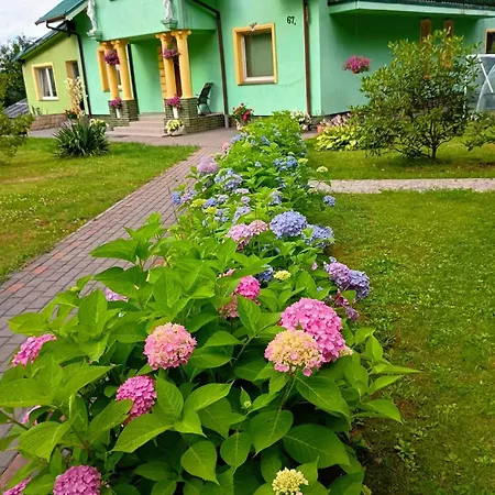 W Zieleni ホームステイ ポラニツァ・ズドゥルイ