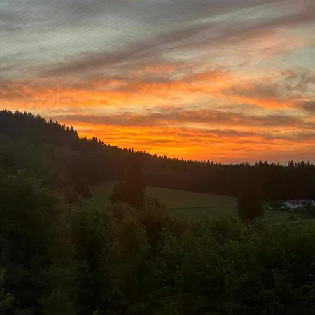 W Zieleni ホームステイ *