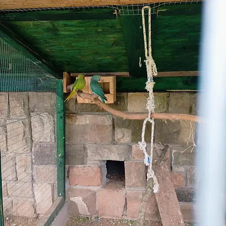 W Zieleni ホームステイ