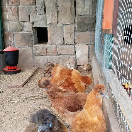 Privat bolig W Zieleni