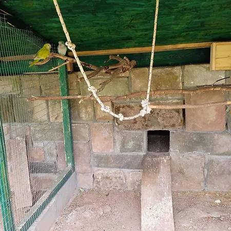 Privat bolig W Zieleni *