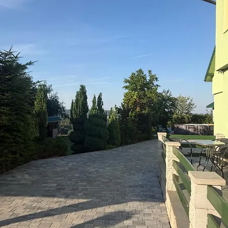 W Zieleni