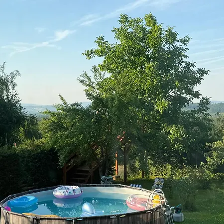 W Zieleni