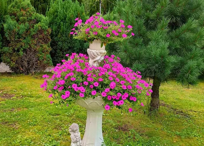 Homestay W Zieleni *