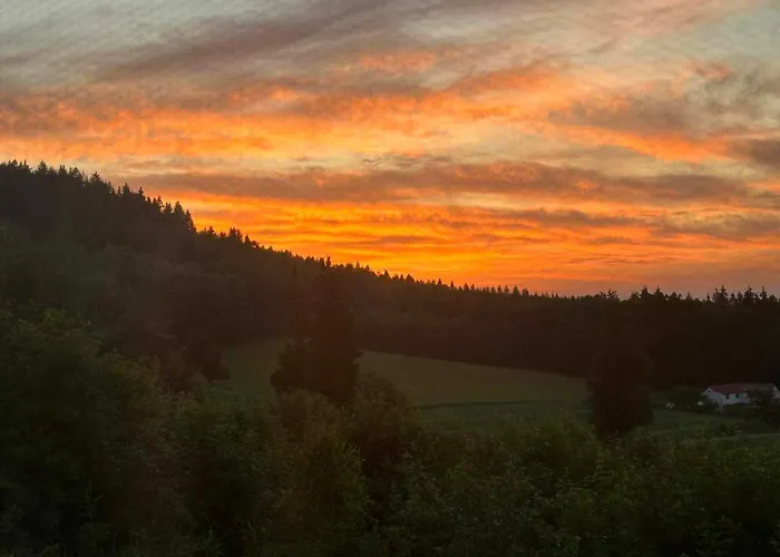 W Zieleni Homestay *