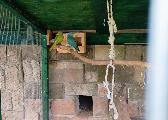 W Zieleni Privat bolig