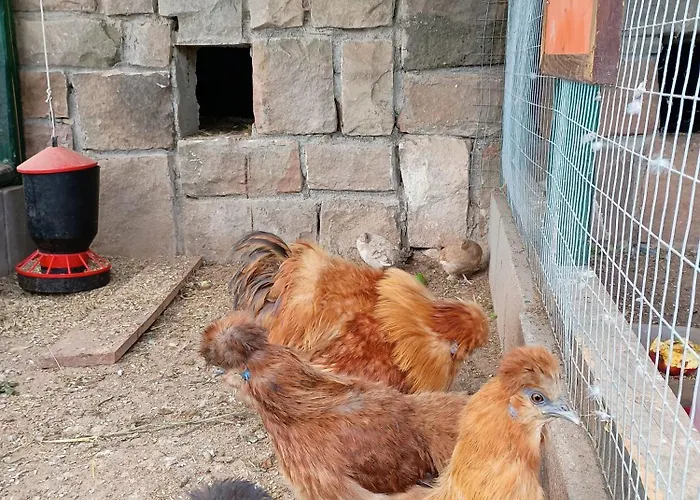 Privat bolig W Zieleni