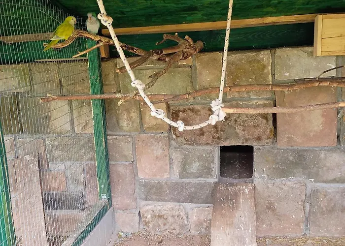 Privat bolig W Zieleni *